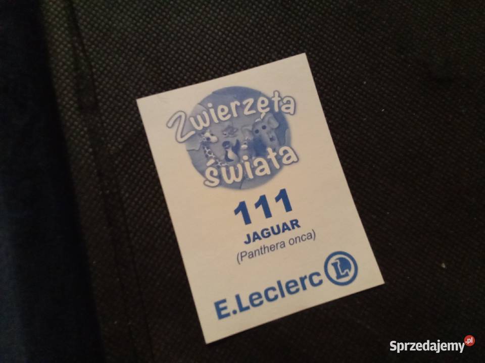 Naklejka zwierzęta świata jaguar 111 Warszawa