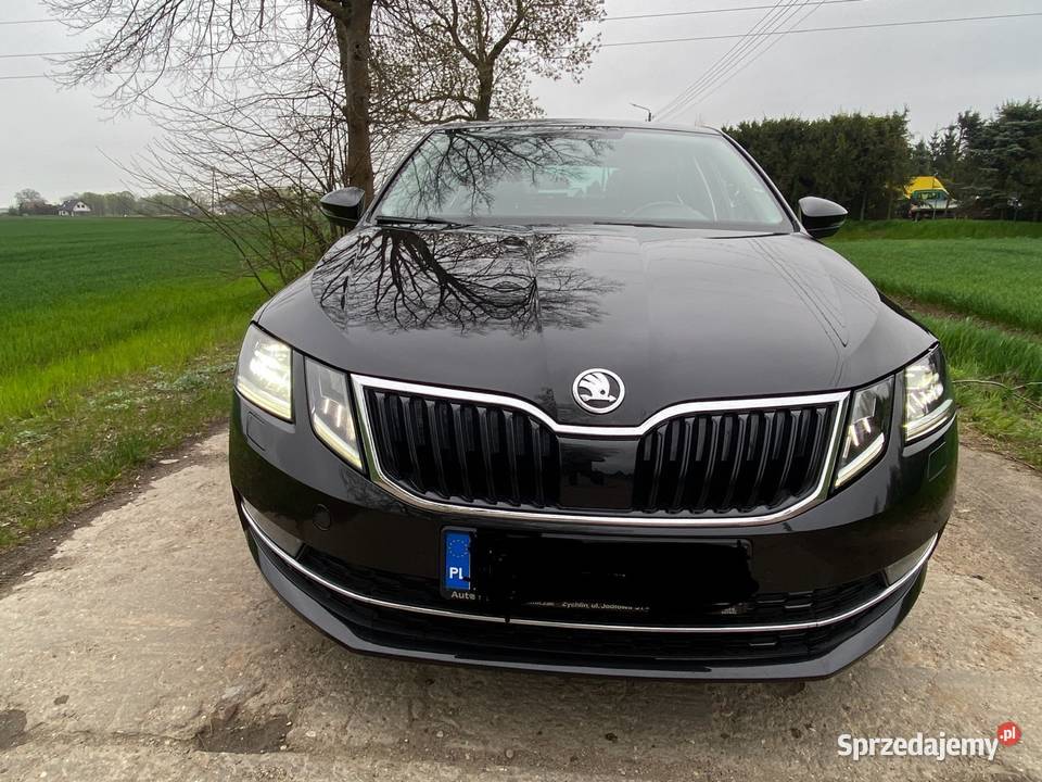 Skoda Octavia 15 150 DSG wspomaganie kierownicy Pruszcz Gdański