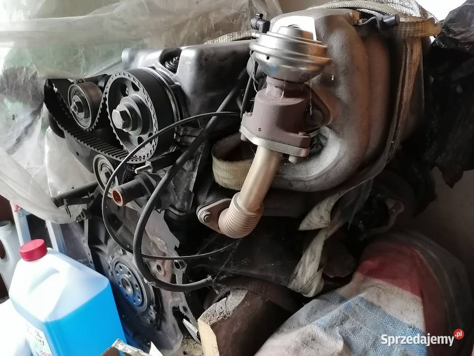 Silnik 25tdi R5 Zgorzelec