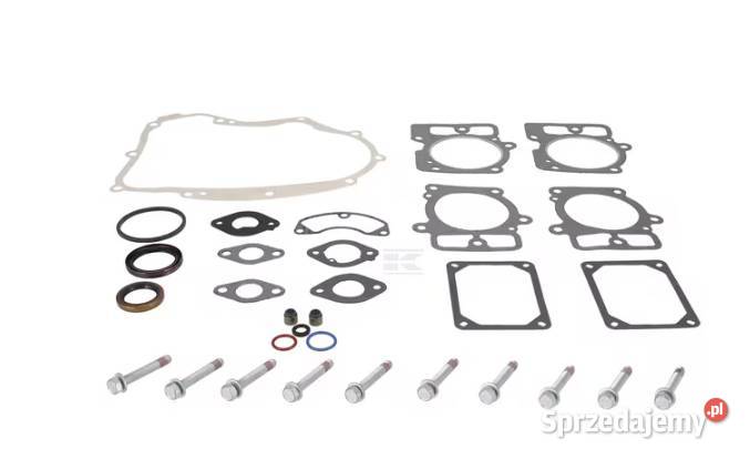 Zestaw uszczelek silnika 84001915