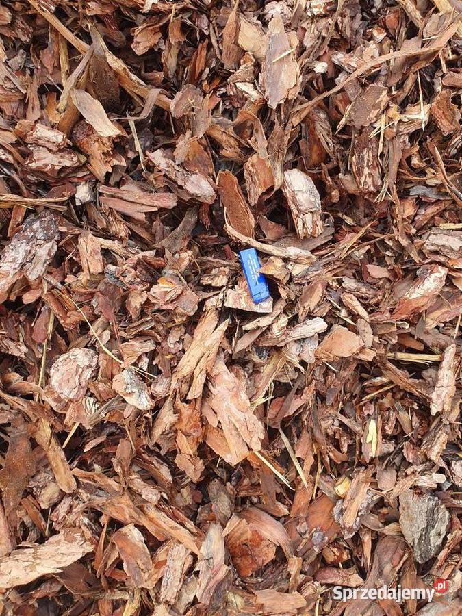 Kora ogrodowa ozdobna dekoracyjna małopolskie Brzesko