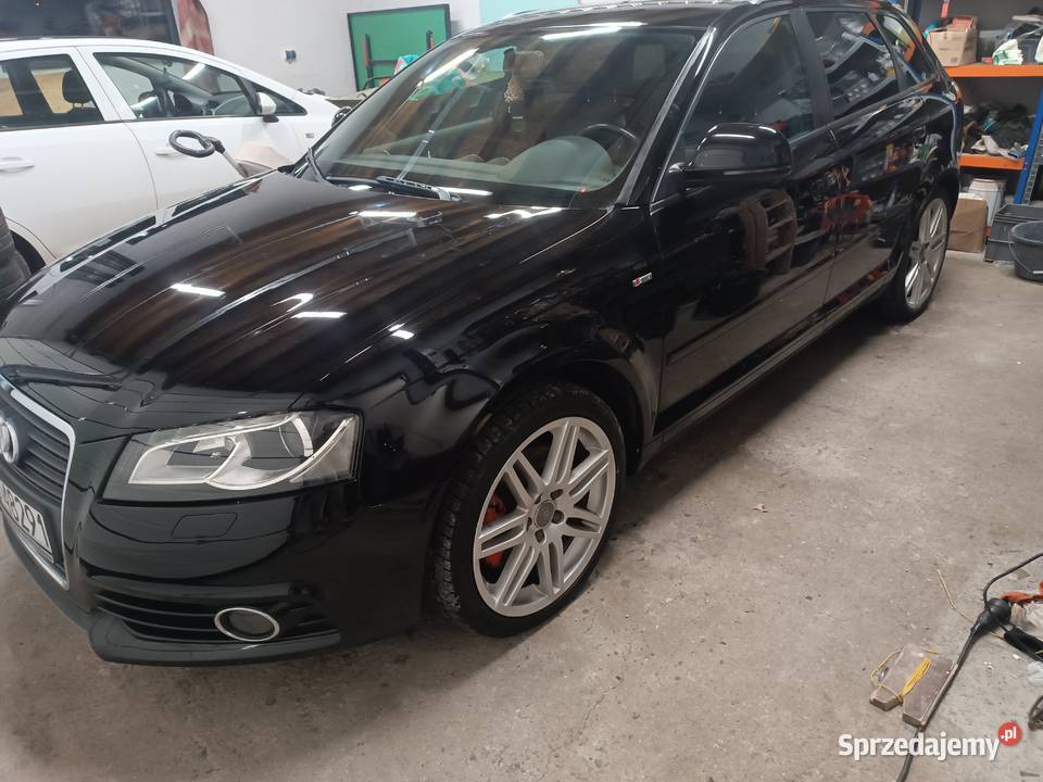 Audi A3 8P 20 170 CR 2xSline Bełsznica sprzedam