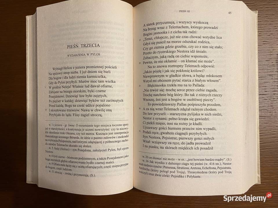 Homer Odyseja literatura piękna - proza zagraniczna Katowice