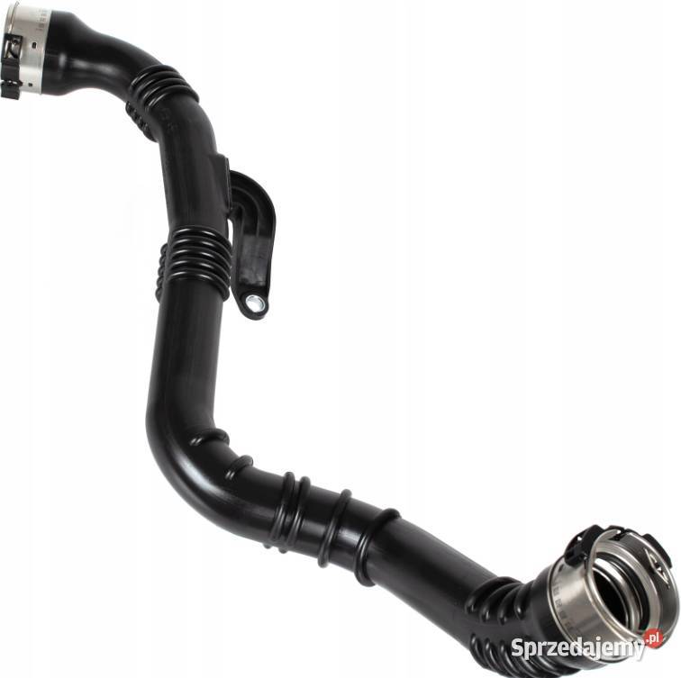 Kajdar Megane Scenic Talisman Qashqai wąż