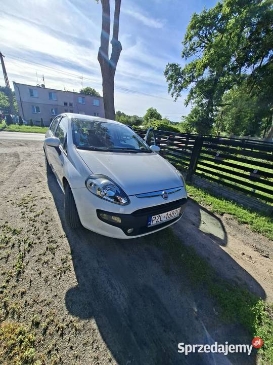 Fiat Punto Evo Active StartStop biały Punto Evo Stawnica