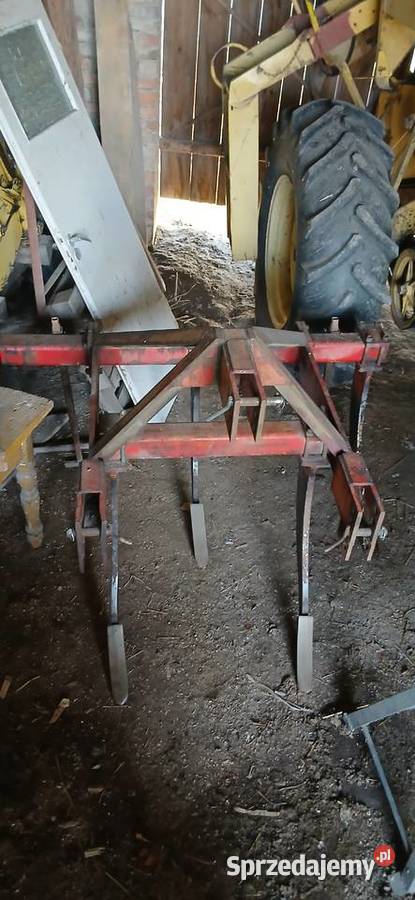 Sprzedam Głębosz nieuszkodzony