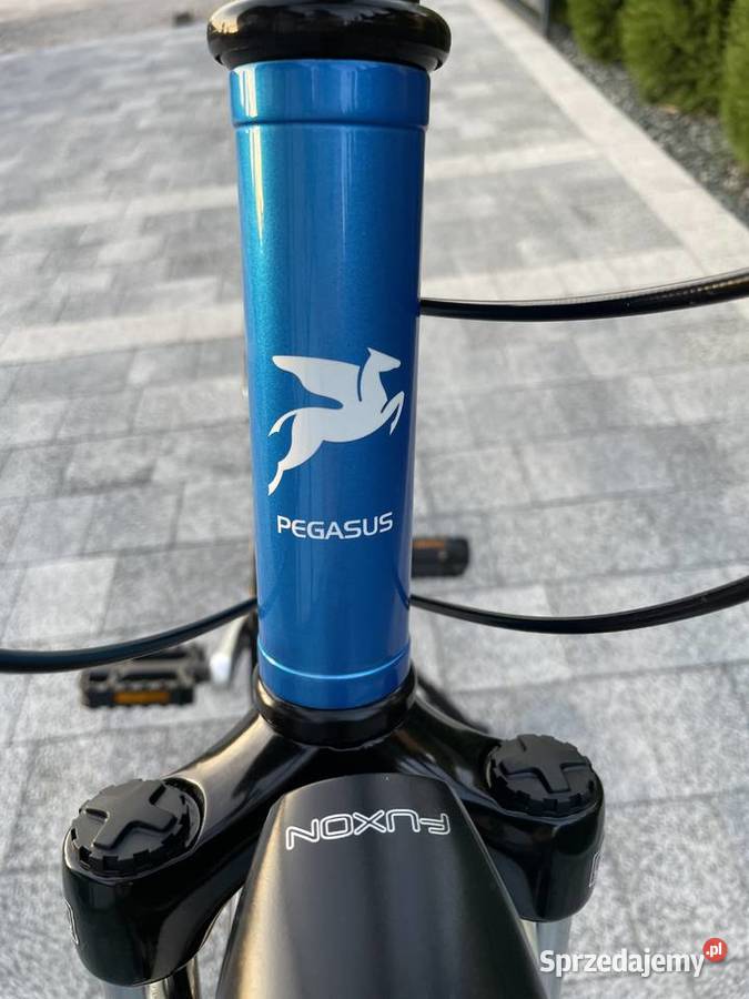 Pegasus Piazza 28 Rower Męski Inowrocław