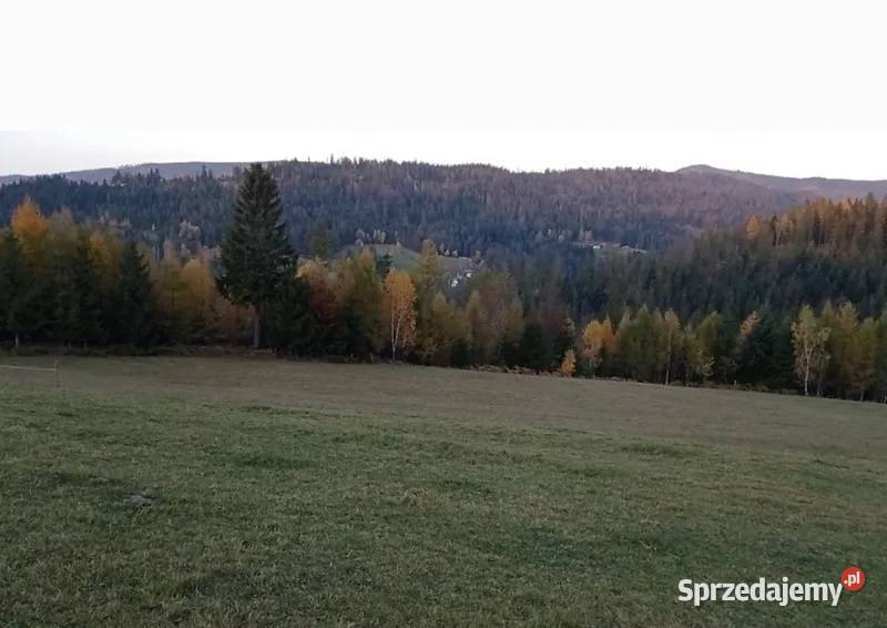 Malowniczo położona widokowa rolna WISŁA CZARNE prąd Wisła