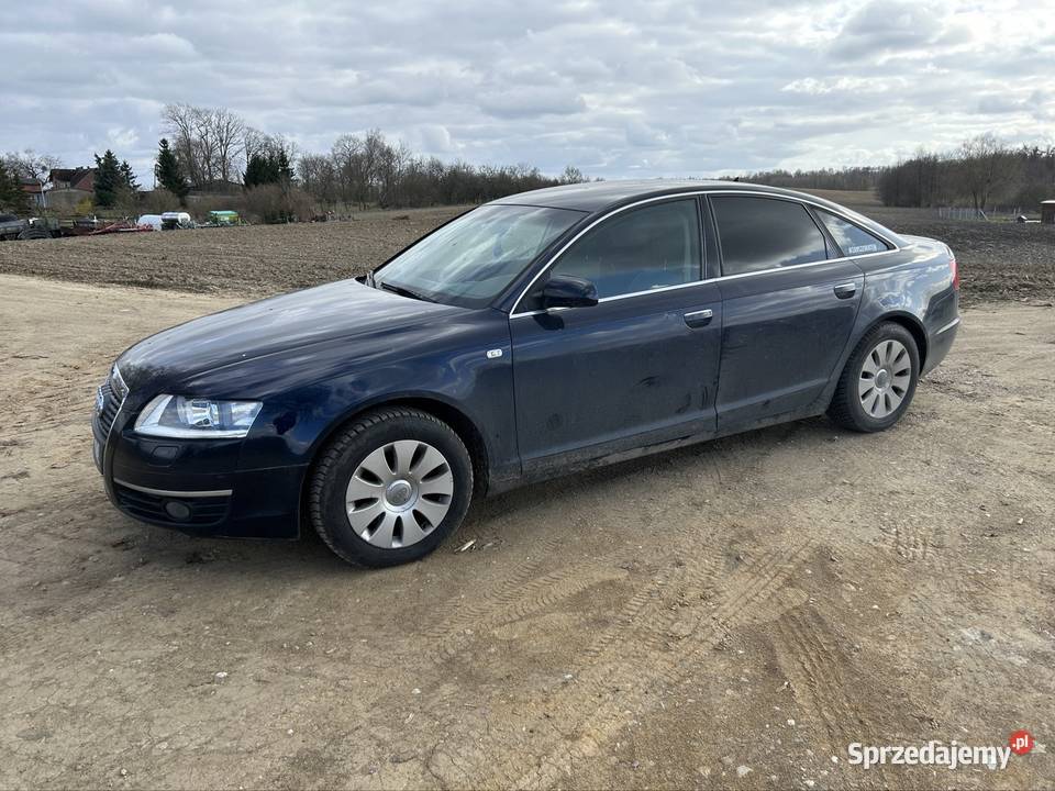 Audi a6c6 2000cm3 Wiewiórki