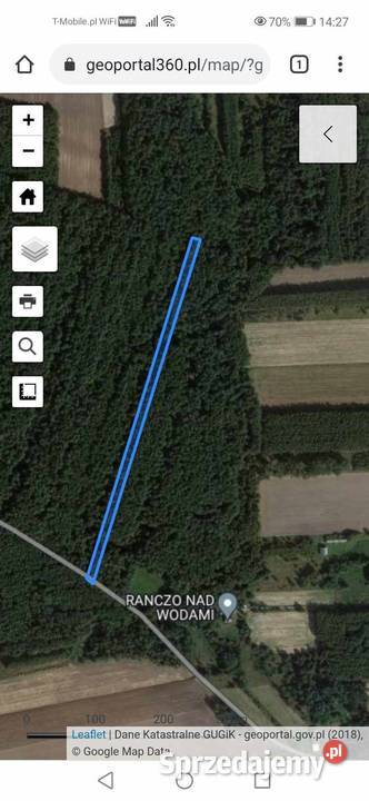 Sprzedam zamienię las około 100 letni 69 arów Sulmierzyce