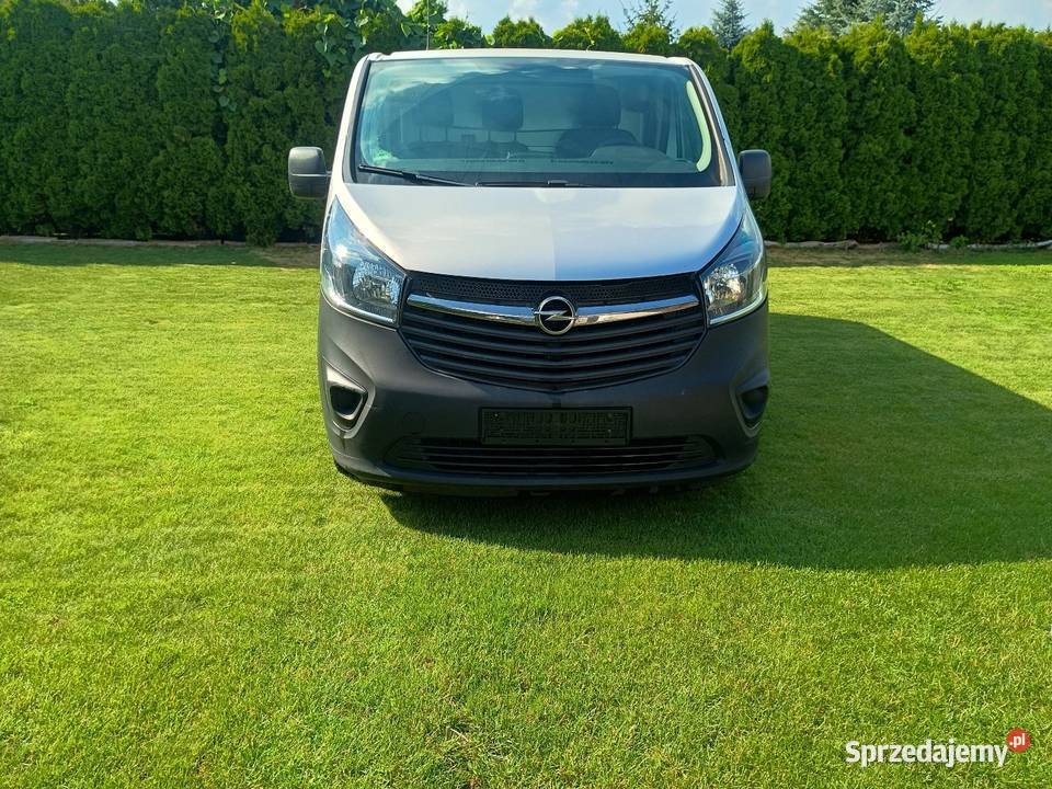 Vivaro long kujawsko-pomorskie Mogilno