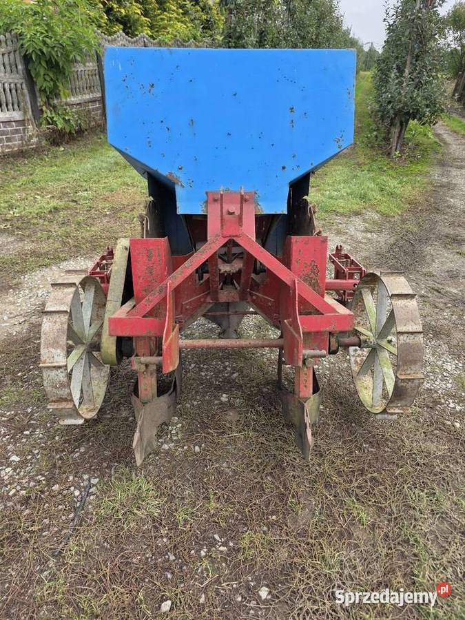 Sadzarka dwurzedowa polska automatyczna firma świętokrzyskie Samborzec