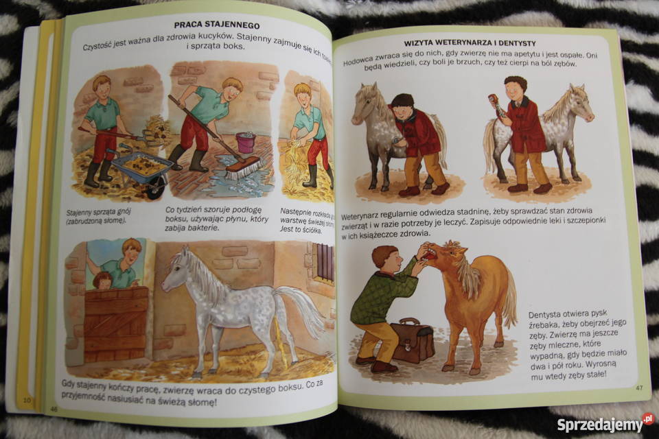 Świat w obrazkach dzieci Książki dla dzieci wielkopolskie Luboń