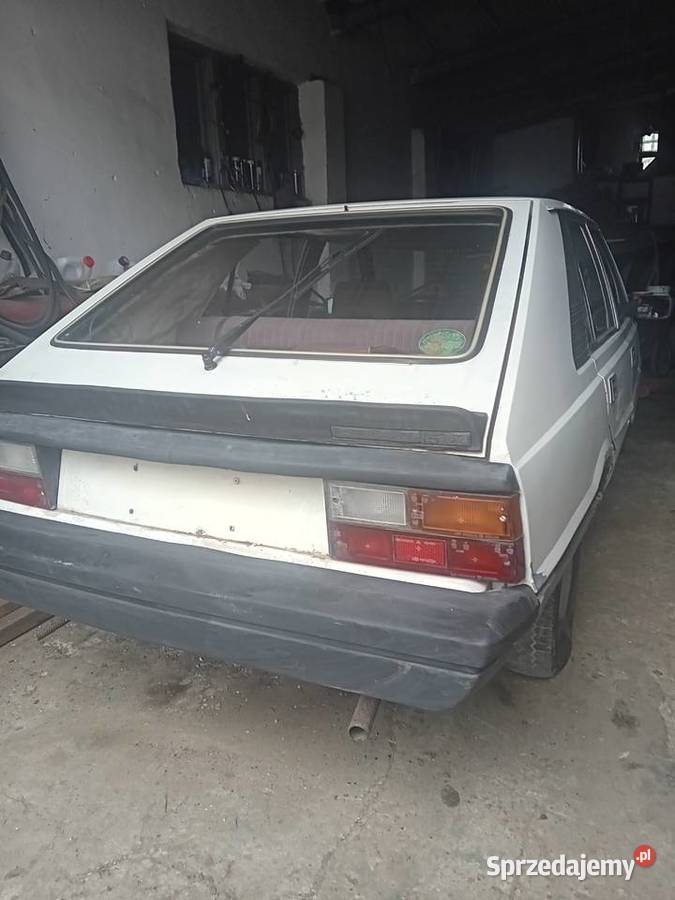 Polonez borewicz Działoszyce