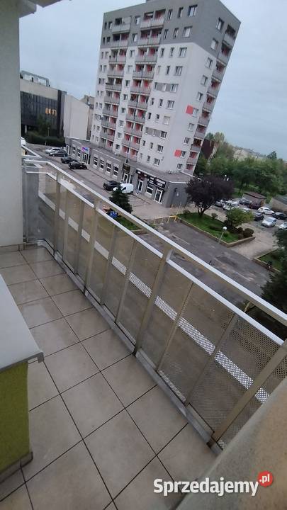 Mieszkanie do wynajęcia Wilsona 8 Częstochowa