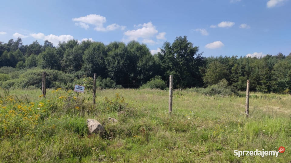 Działka budowlana przylesie z waunkami zabudowy Dobra
