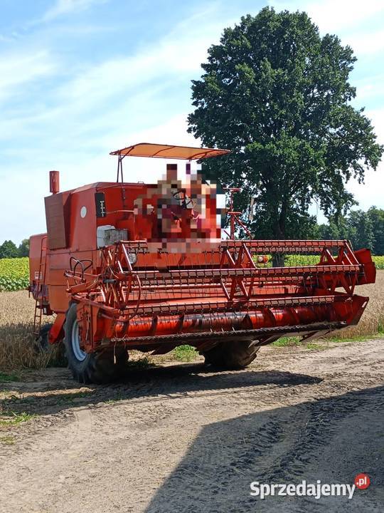 Sprzedam bizon zo56 Izbica Kujawska