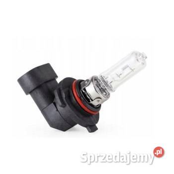 Żarówka halogenowa HB3 12V 65W 9005 AMIO 1 E8 Poznań