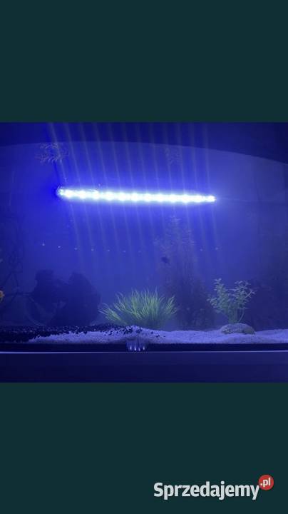 Lampa LED do akwarium 48 wodoodporna Warszawa