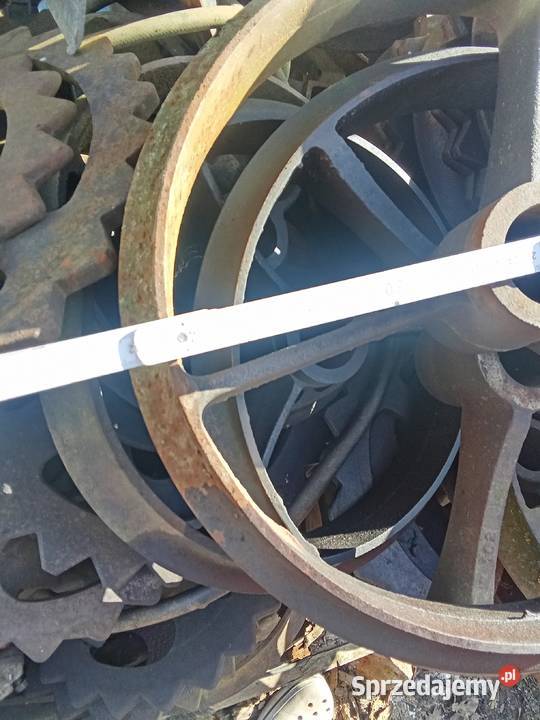 Pierścienie do wałów Cambridge 503836 Jawor sprzedam