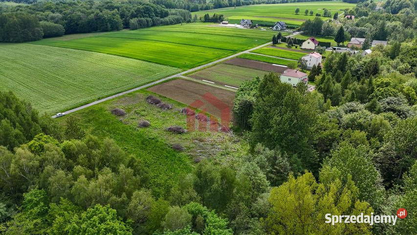 Grunt 980m2 Będzienica Sprzedaż