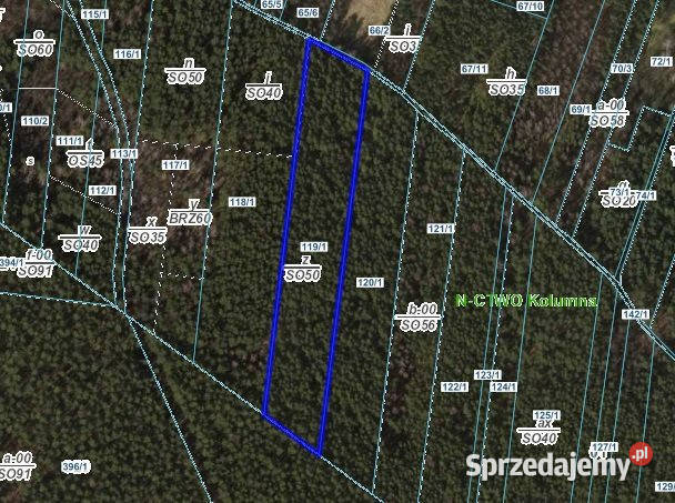 sprzedaży gruntu 11550 metrów Holendry