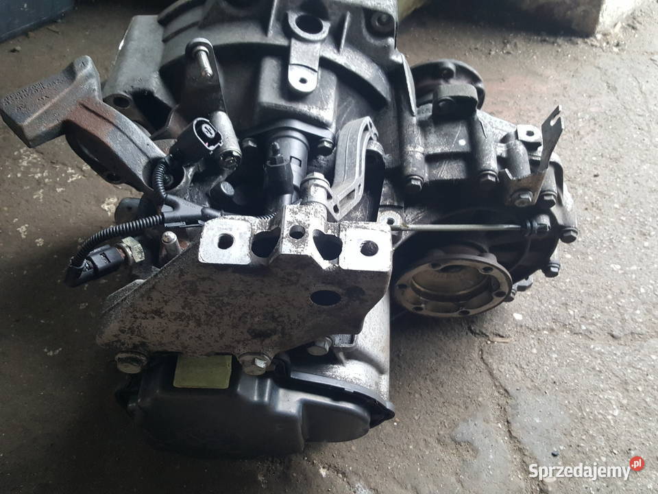 Skrzynia biegów Vw Caddy III GQR 19 TDI 5 biegów dostawcze kujawsko-pomorskie Gniewkowo