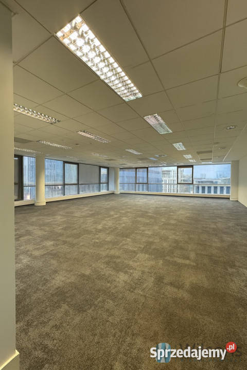 Ogłoszenie lokal Warszawa Przyokopowa 10175m2 Wynajem