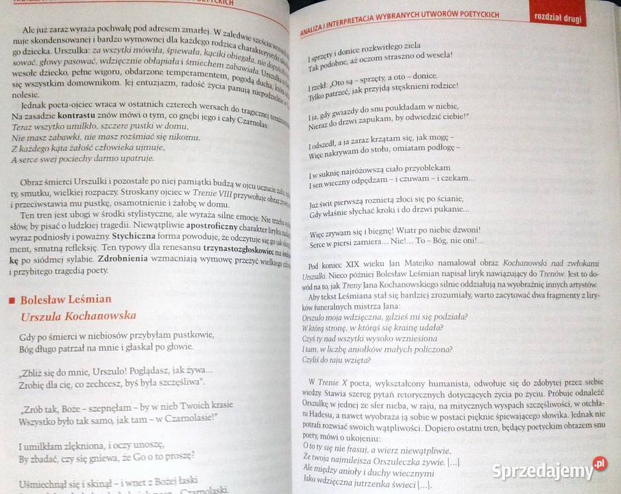 analizować i interpretować wiersze Grażyna Chełm