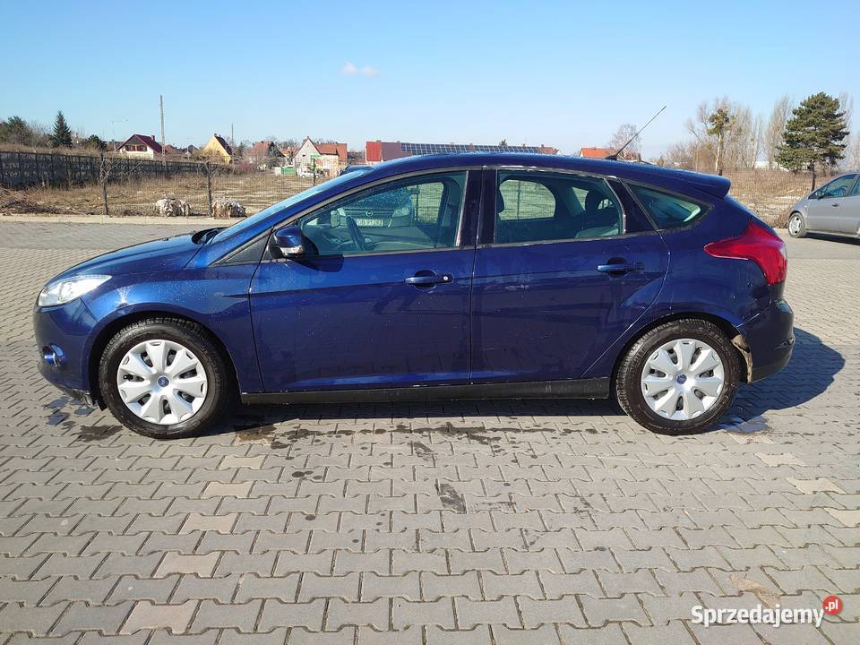 Ford Focus 16 Duratec 125 mały przebieg 79 Lewin Brzeski
