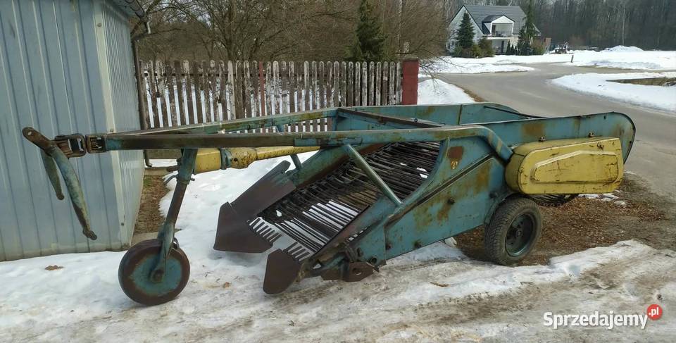 Kopaczka do ziemniaków Elewatorowa 2rzędowa Dąbrowa Tarnowska