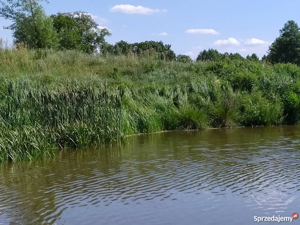 Duża działka ze stawem w okolicach Mławy mały Grunty i działki Mława