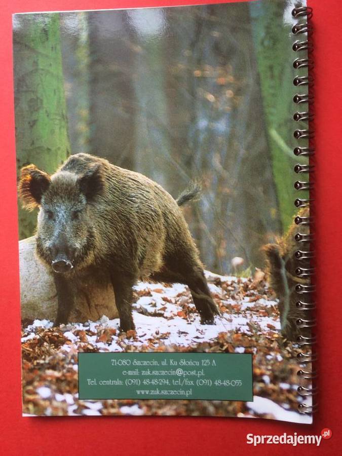 539 Puszcze Szczecińskie 2005