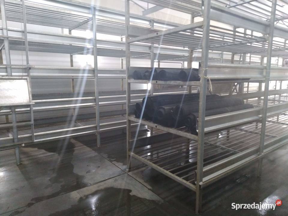 Regały do uprawy pieczarek wielkopolskie Wielichowo