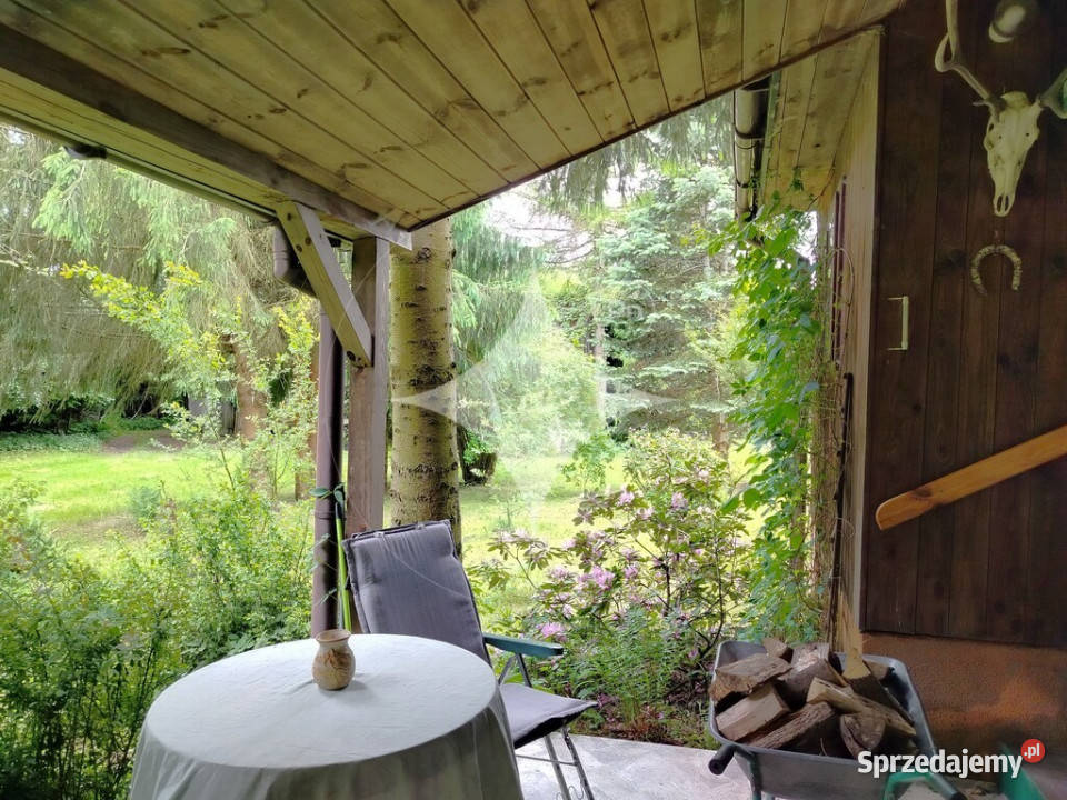 piękne ranczo z łąką i lasem pod HoryńcemZdrojem Dziewięcierz