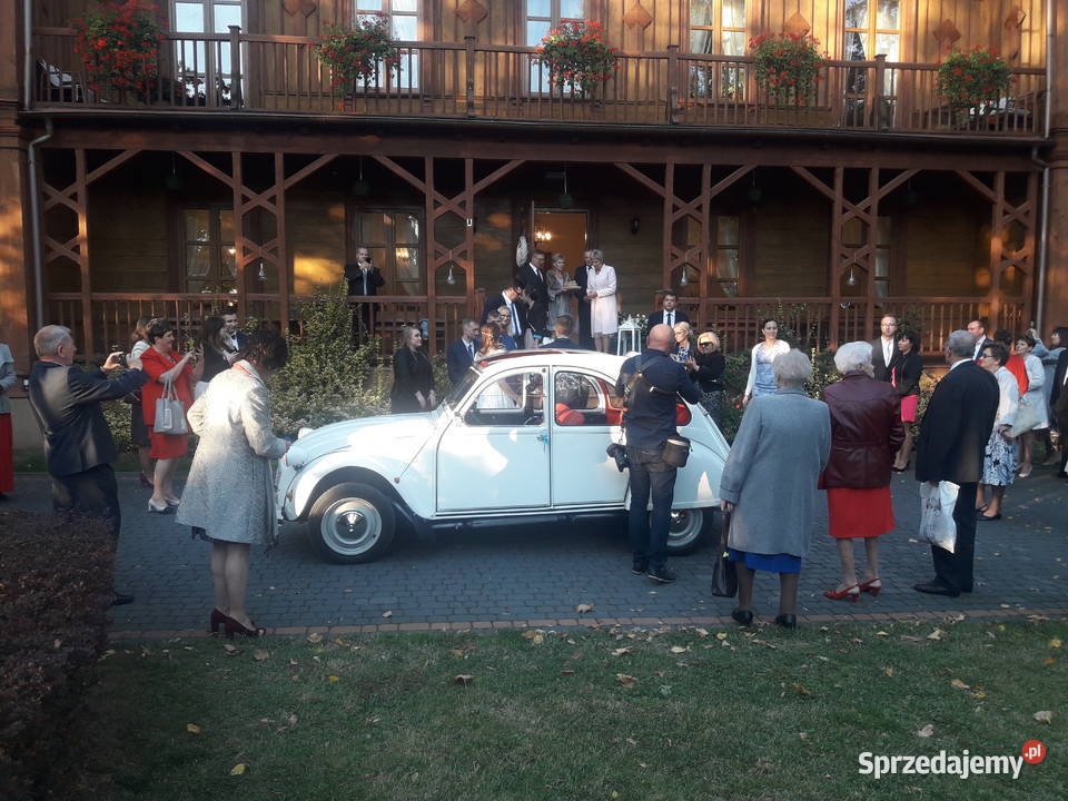 Citroen 2CV do ślubu STARACHOWICE 2 CV świętokrzyskie
