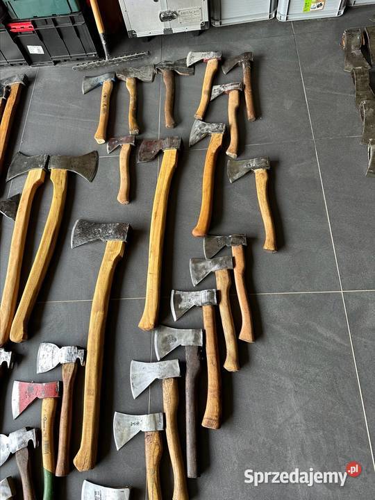 Siekiery kowalskie cechowane mazowieckie Siedlce sprzedam