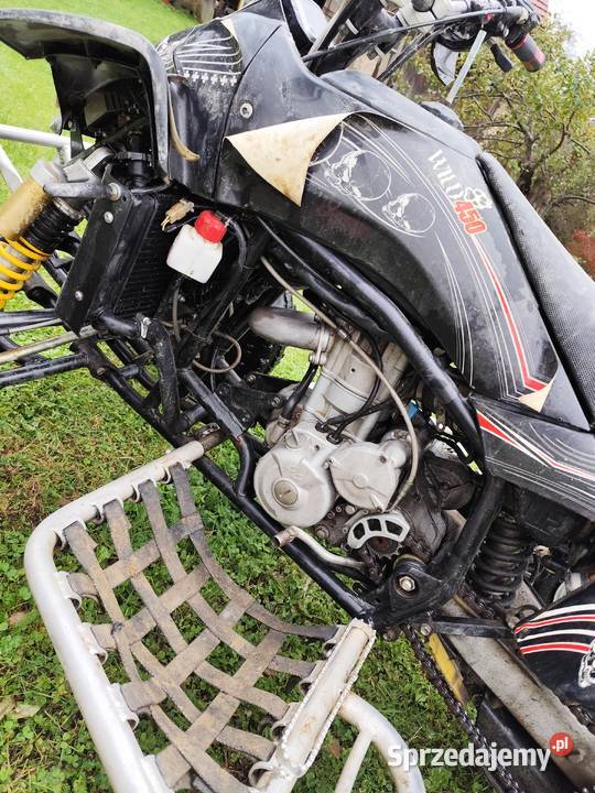Gas gas wild 450 quad - ATV Strzyżów