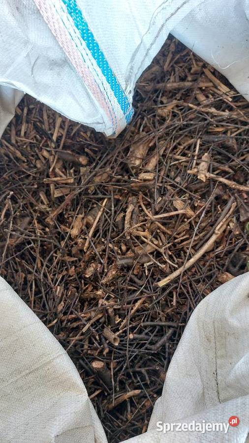 Zrębki biomasa sprzedam