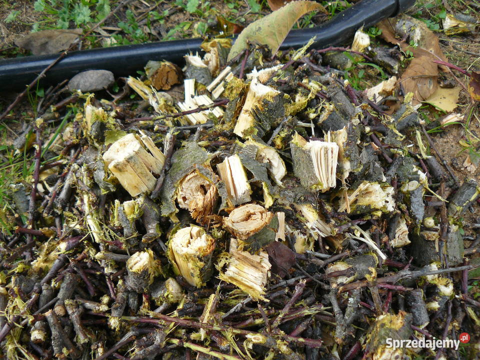 Rozdrabniacz ogrodowy frezowowalcowy Atika na Nowa Sól
