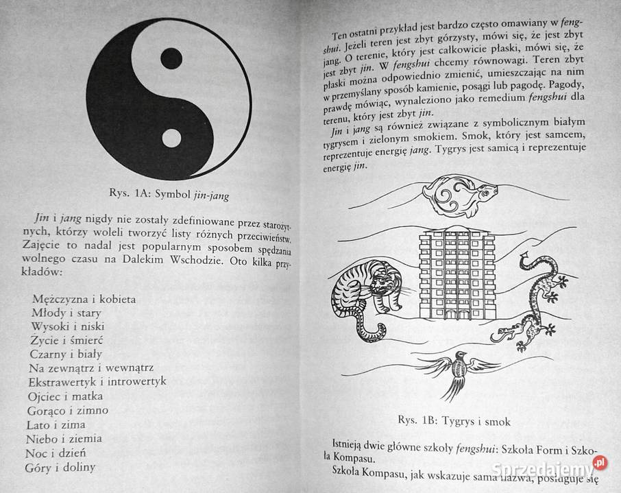 Fengshui w twoim mieszkaniu Richard Webster Chełm sprzedam