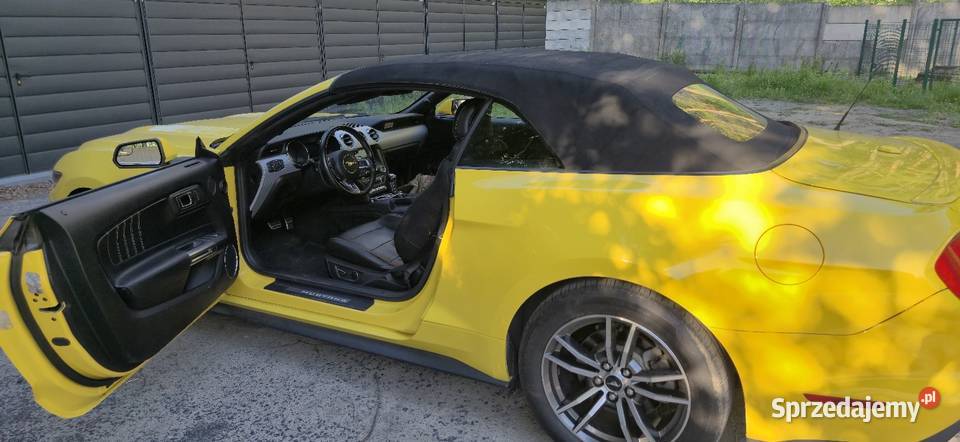 Ford Mustang 23 310 koni cabrio w pięknym łopatki zmiany biegów Mrozy