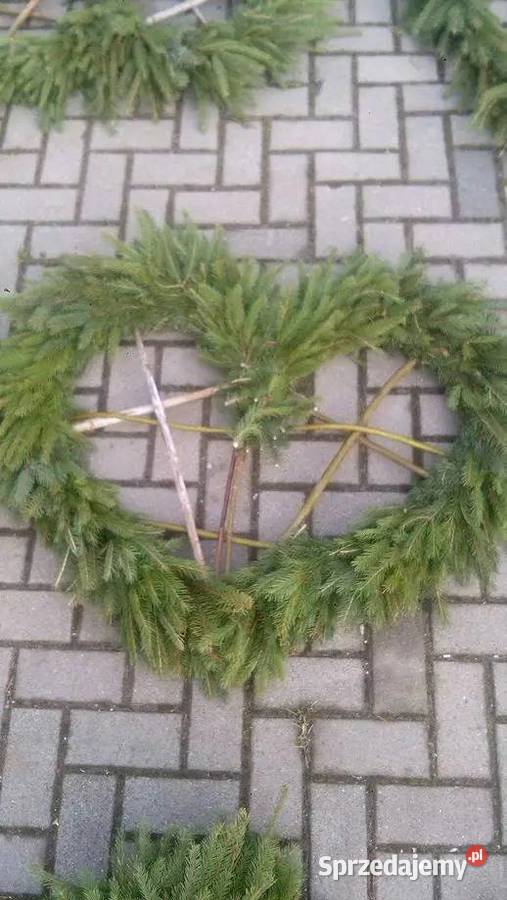 Podkłady pod wieńce pogrzebowe żywe sosnaświerk