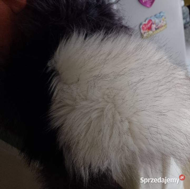 ZARA Długie Futrzany kołnierz Etola szal futerko Dla kobiet małopolskie Kraków