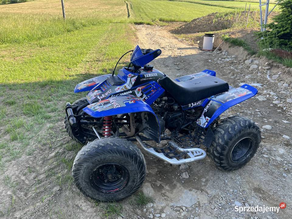 Yamaha Warrior 350 raptor zamienię na samochód Rok produkcji 2004 Niecew