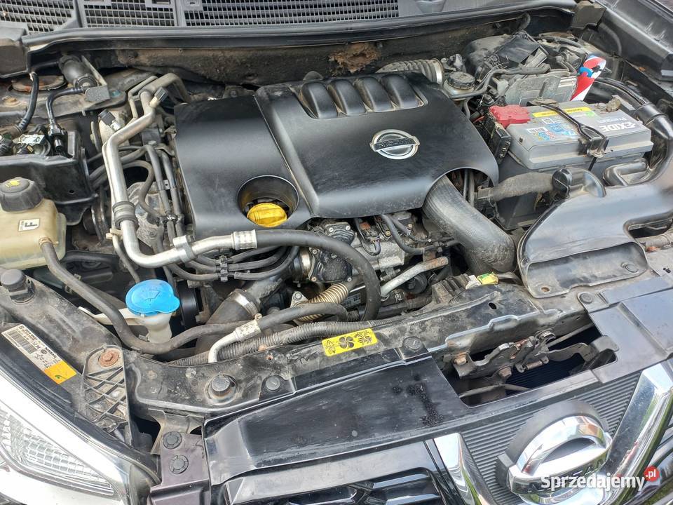 Nissan Qaskqai J10 20DCI150 Modła
