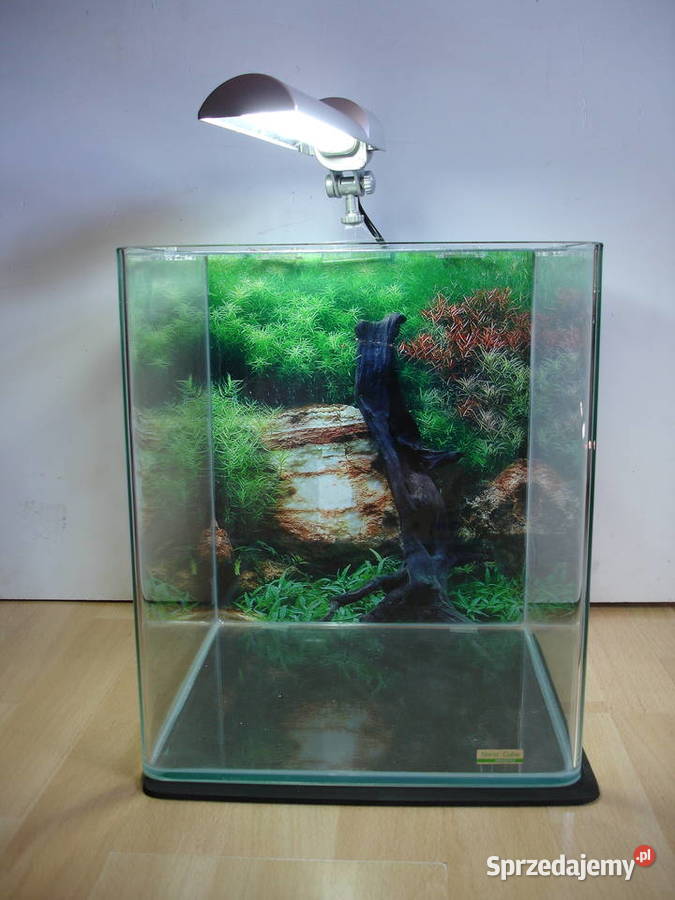 Akwarium 30L Zielona Góra