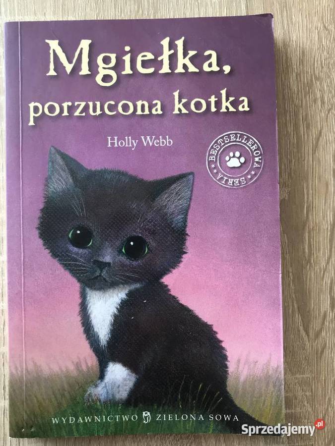 Mgiełka porzucona kotka jm Szczecin