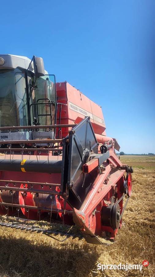 MASSEY FERGUSON 34 Czujniki strat ziarna Szczurowa