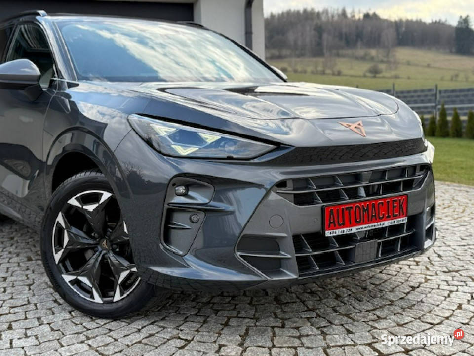 Cupra Terramar MATRIX VZ 265 SZYBER DACH Kamienna Góra sprzedam